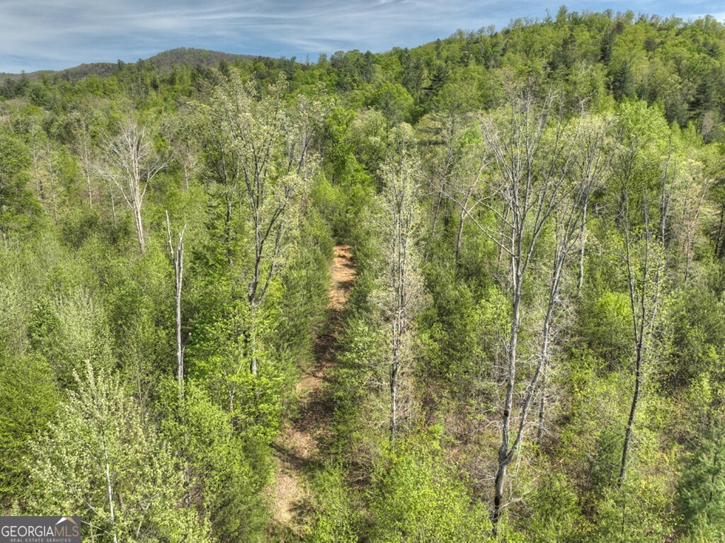 138.06AC N Highway 515 Ellijay GA 30540