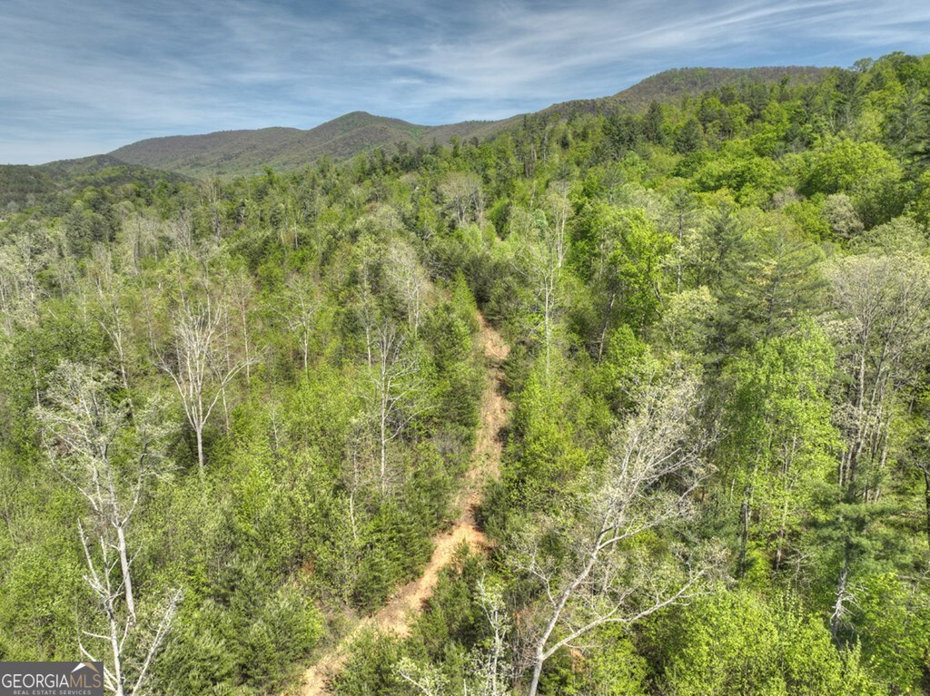138.06AC N Highway 515 Ellijay GA 30540