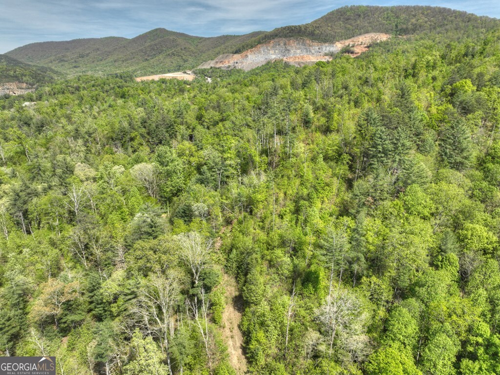 138.06AC N Highway 515 Ellijay GA 30540