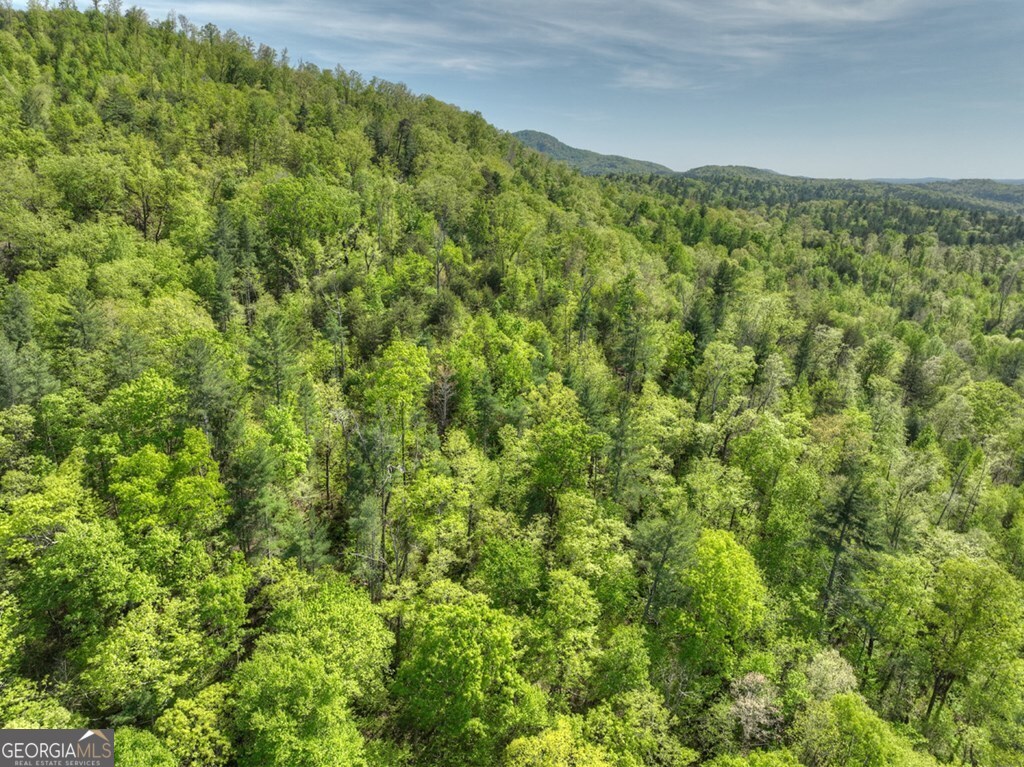138.06AC N Highway 515 Ellijay GA 30540