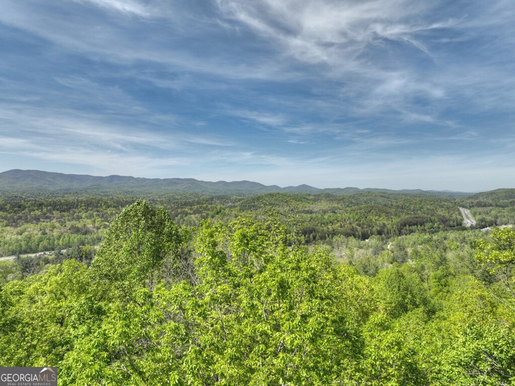 138.06AC N Highway 515 Ellijay GA 30540