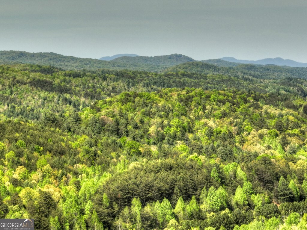 138.06AC N Highway 515 Ellijay GA 30540
