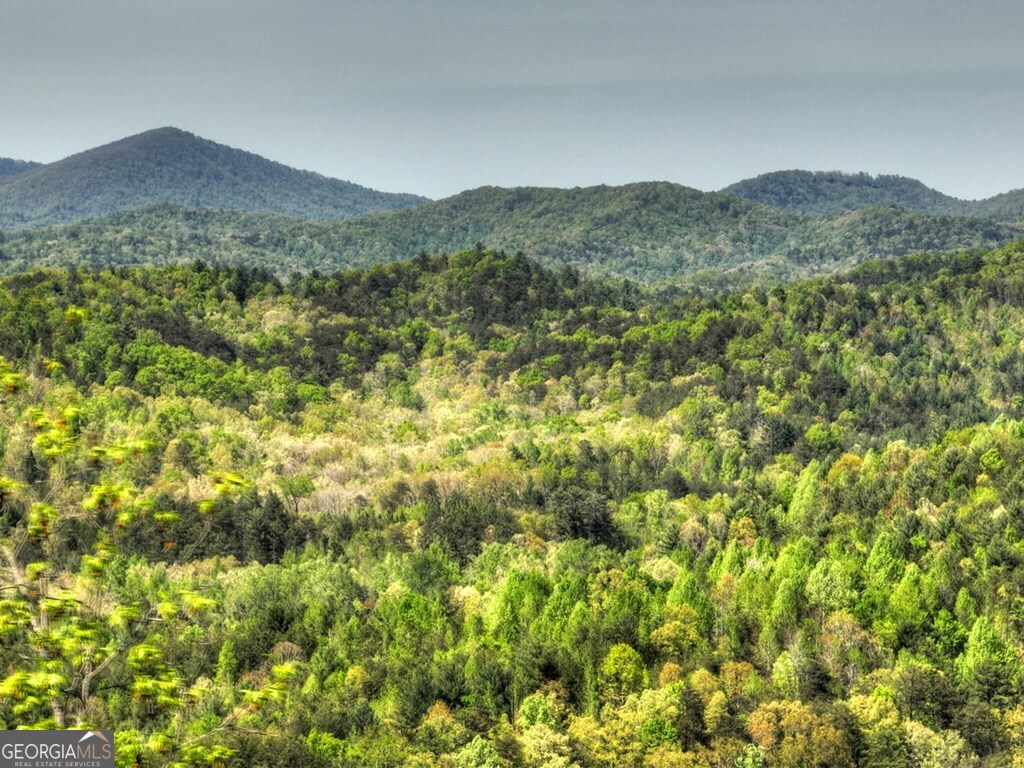 138.06AC N Highway 515 Ellijay GA 30540