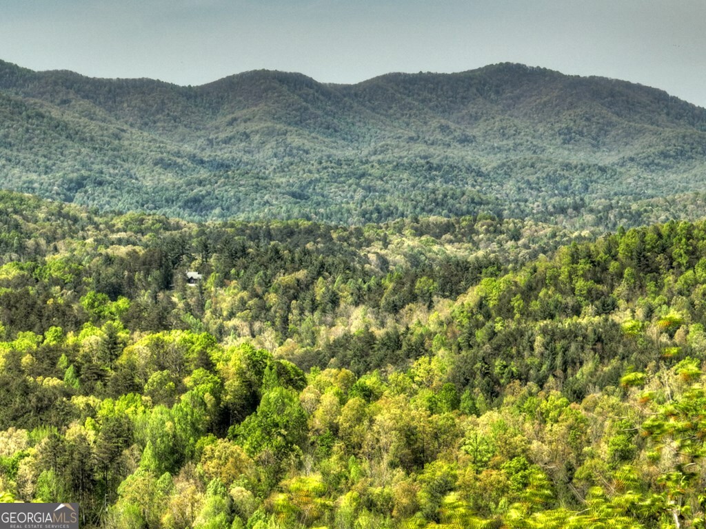 138.06AC N Highway 515 Ellijay GA 30540