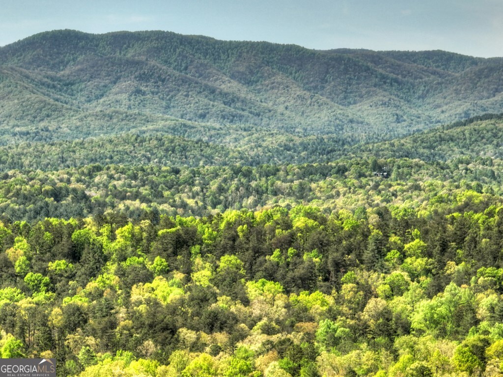 138.06AC N Highway 515 Ellijay GA 30540