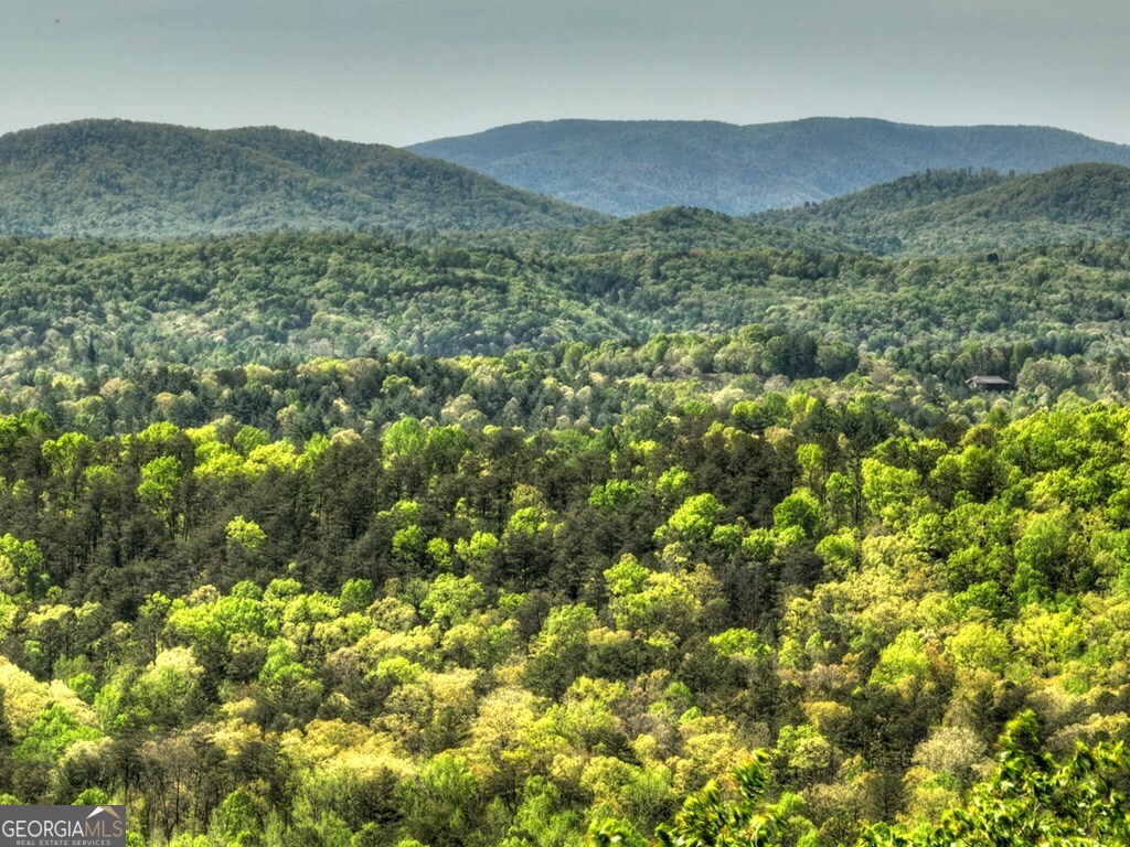 138.06AC N Highway 515 Ellijay GA 30540
