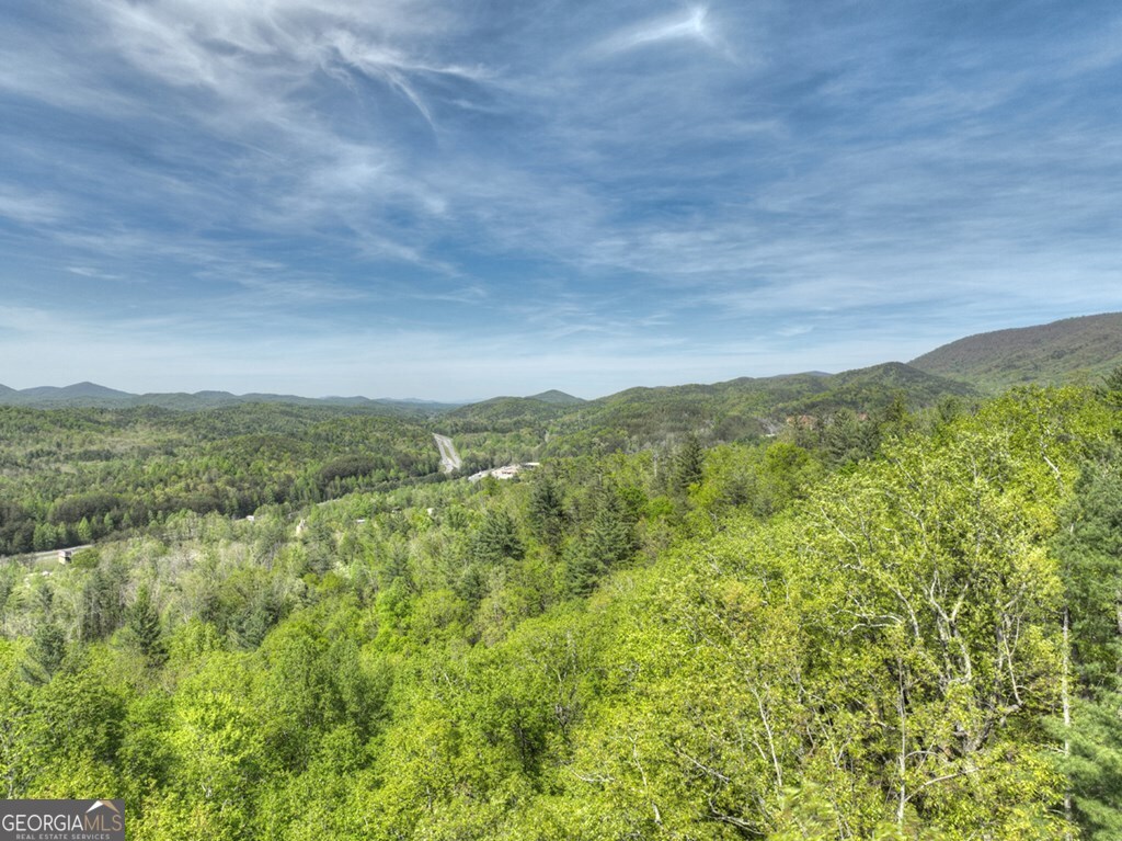 138.06AC N Highway 515 Ellijay GA 30540