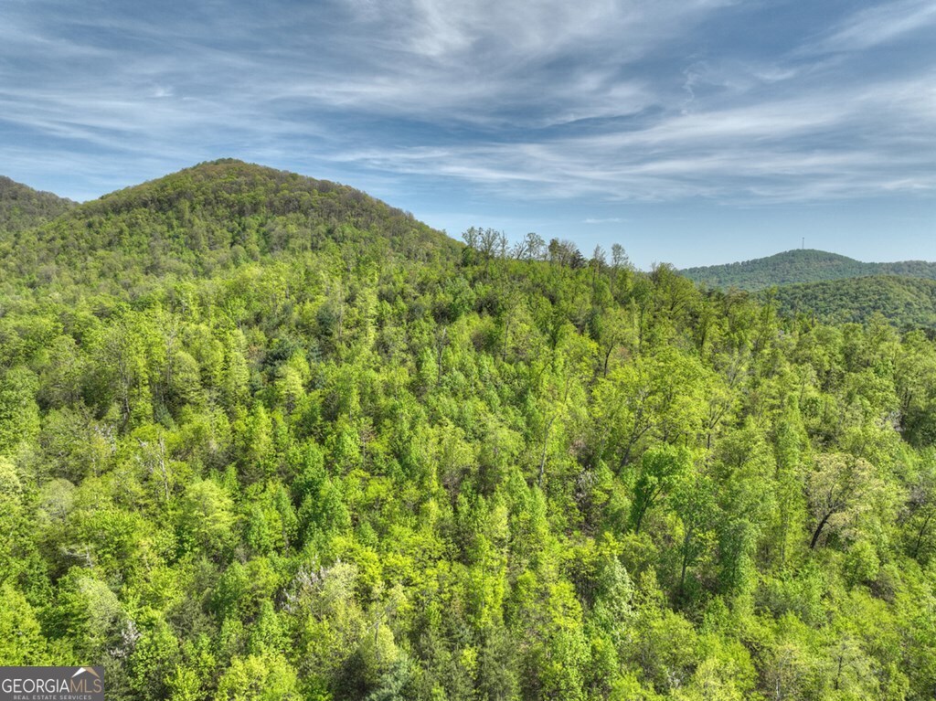 138.06AC N Highway 515 Ellijay GA 30540