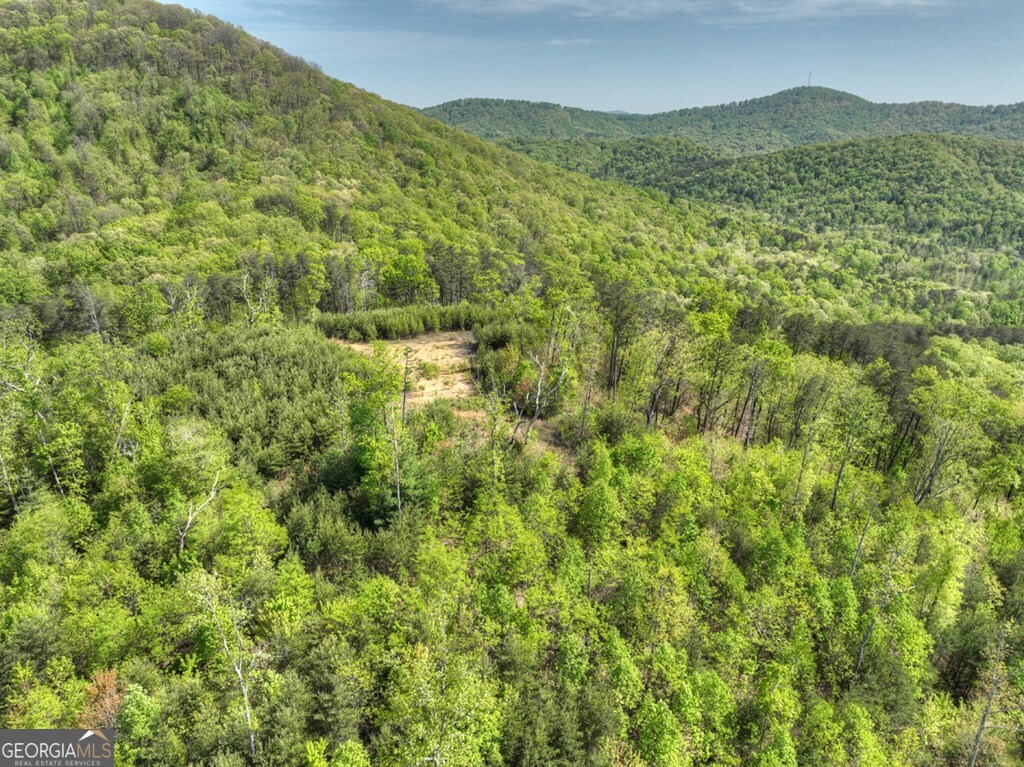 138.06AC N Highway 515 Ellijay GA 30540