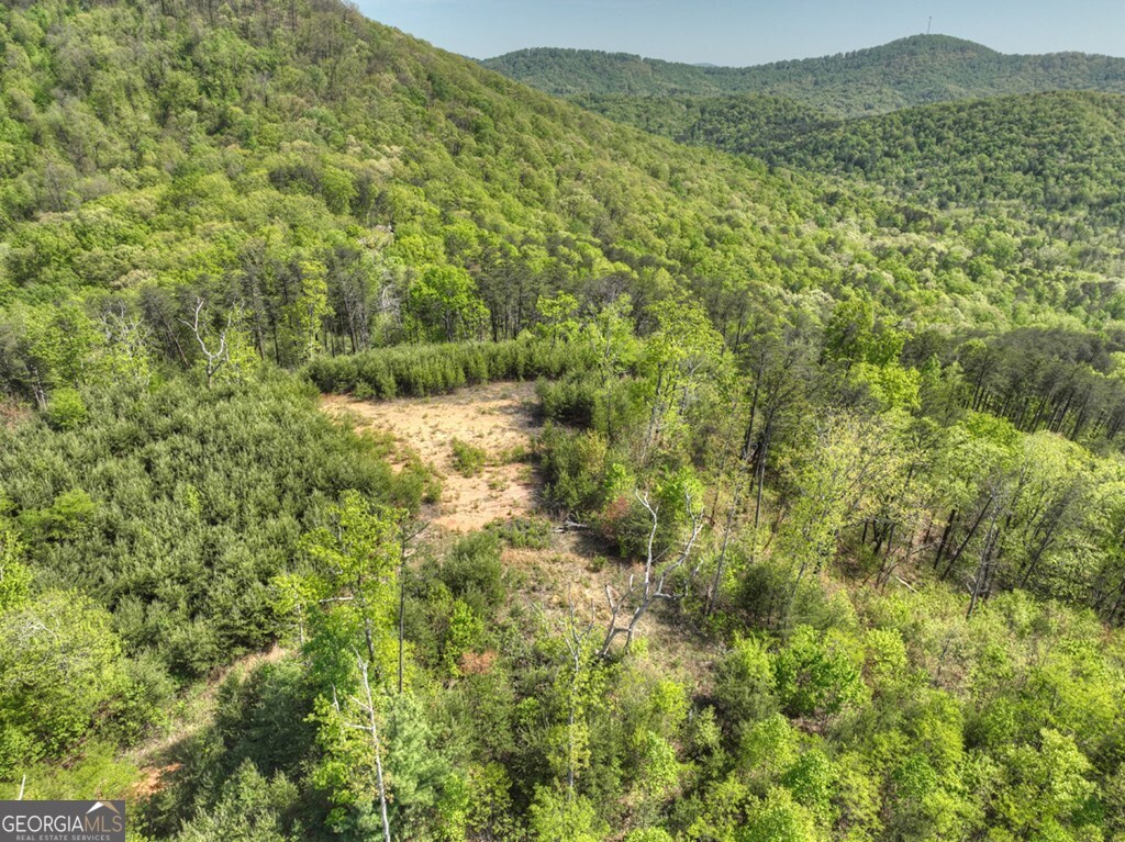 138.06AC N Highway 515 Ellijay GA 30540