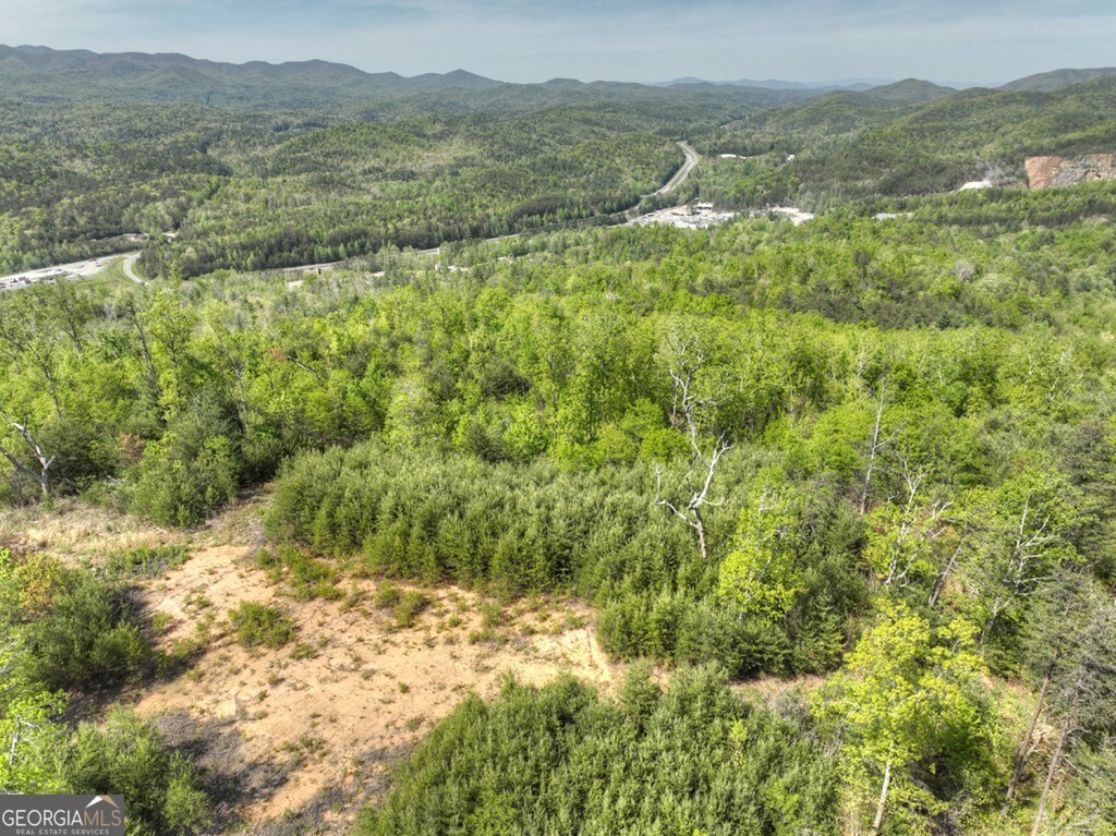 138.06AC N Highway 515 Ellijay GA 30540
