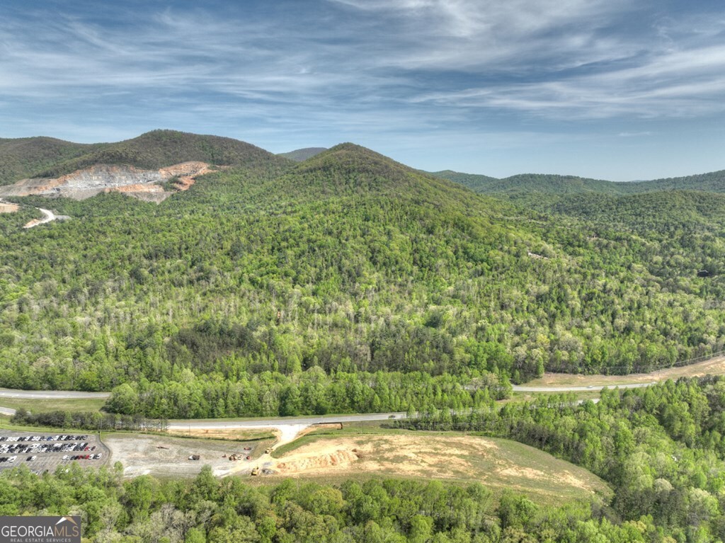 138.06AC N Highway 515 Ellijay GA 30540