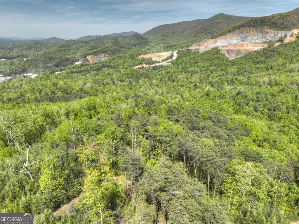 138.06AC N Highway 515 Ellijay GA 30540