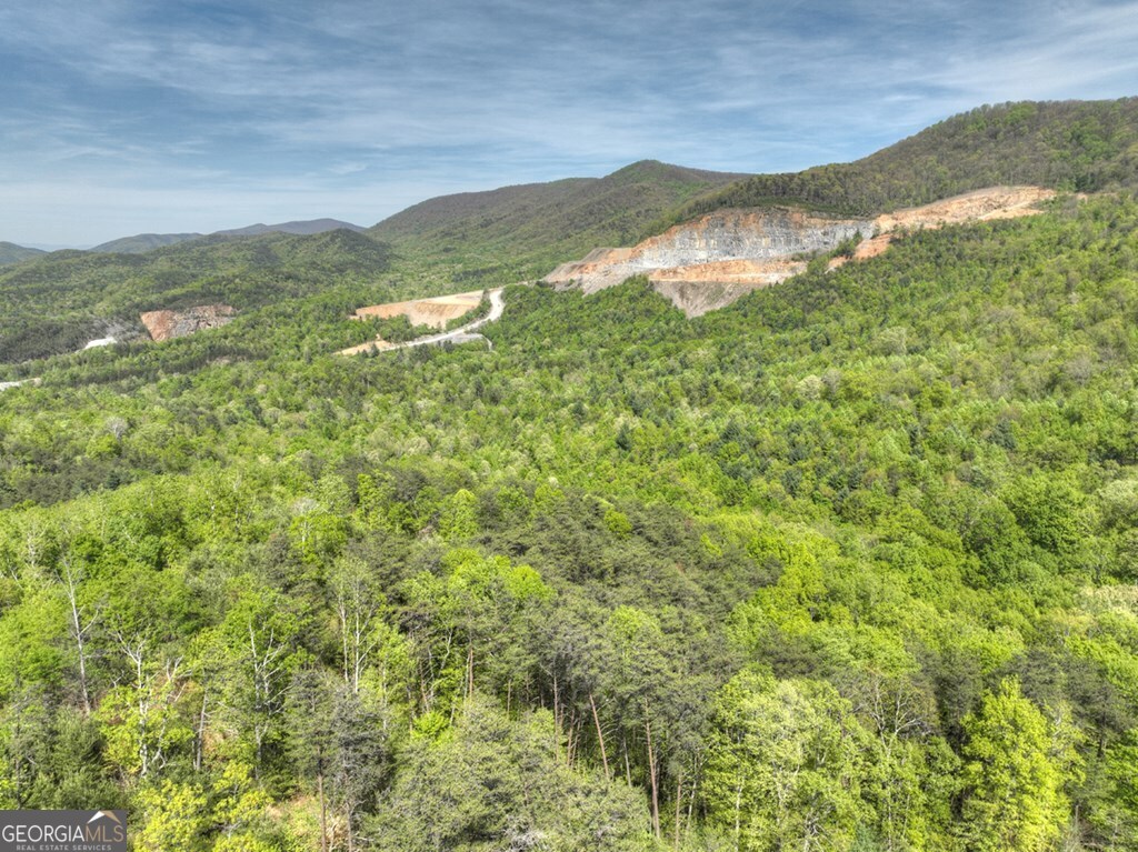 138.06AC N Highway 515 Ellijay GA 30540