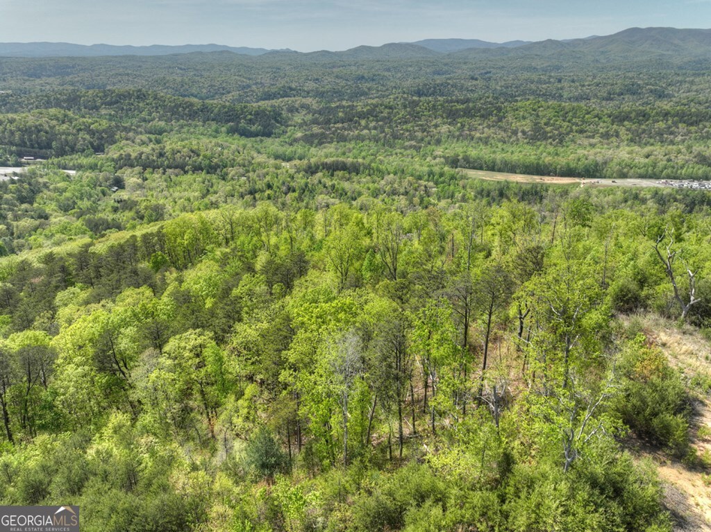 138.06AC N Highway 515 Ellijay GA 30540