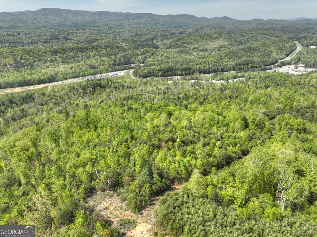 138.06AC N Highway 515 Ellijay GA 30540