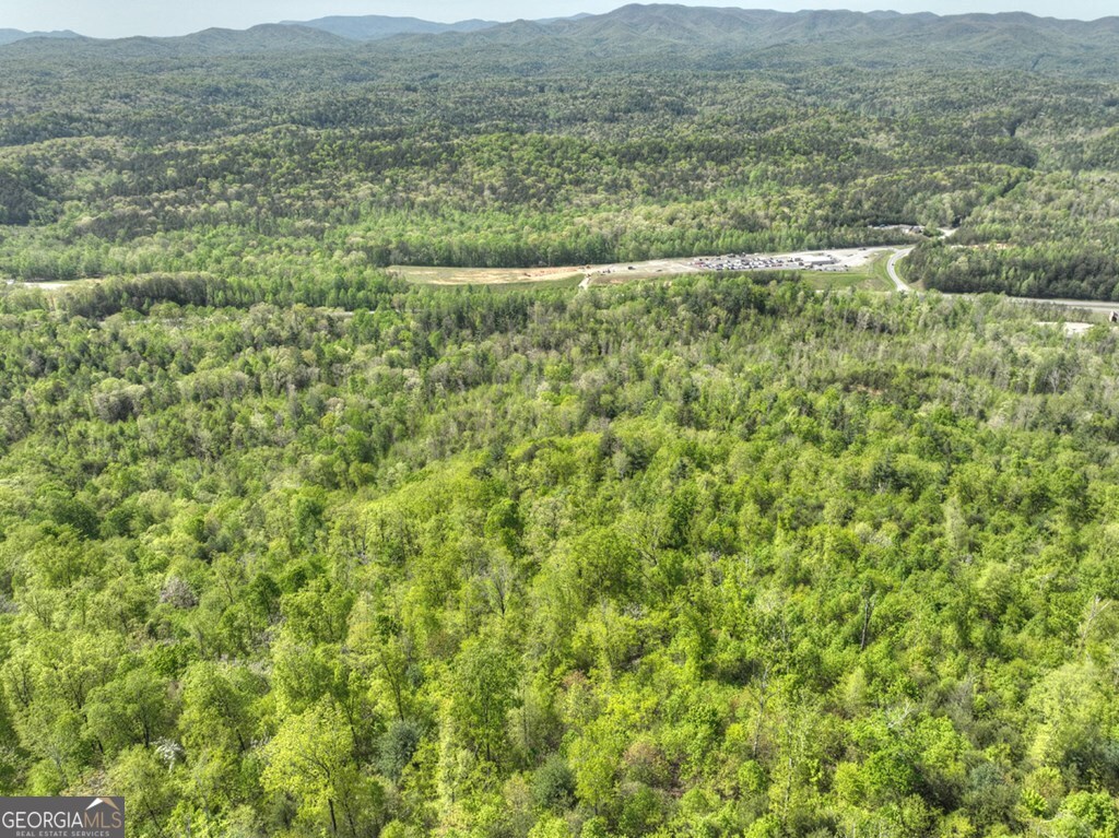 138.06AC N Highway 515 Ellijay GA 30540