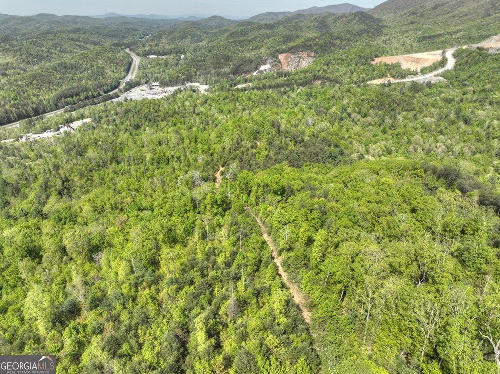 138.06AC N Highway 515 Ellijay GA 30540