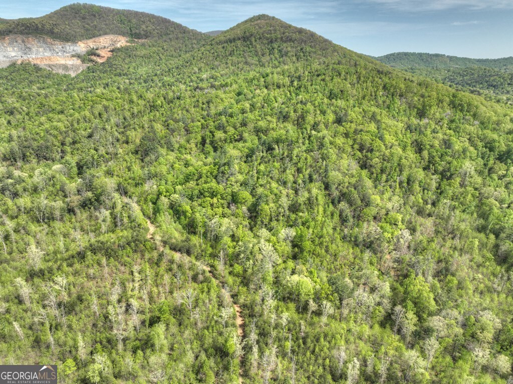 138.06AC N Highway 515 Ellijay GA 30540