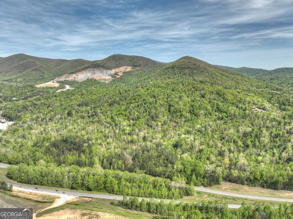 138.06AC N Highway 515 Ellijay GA 30540