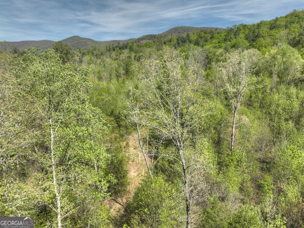138.06AC N Highway 515 Ellijay GA 30540
