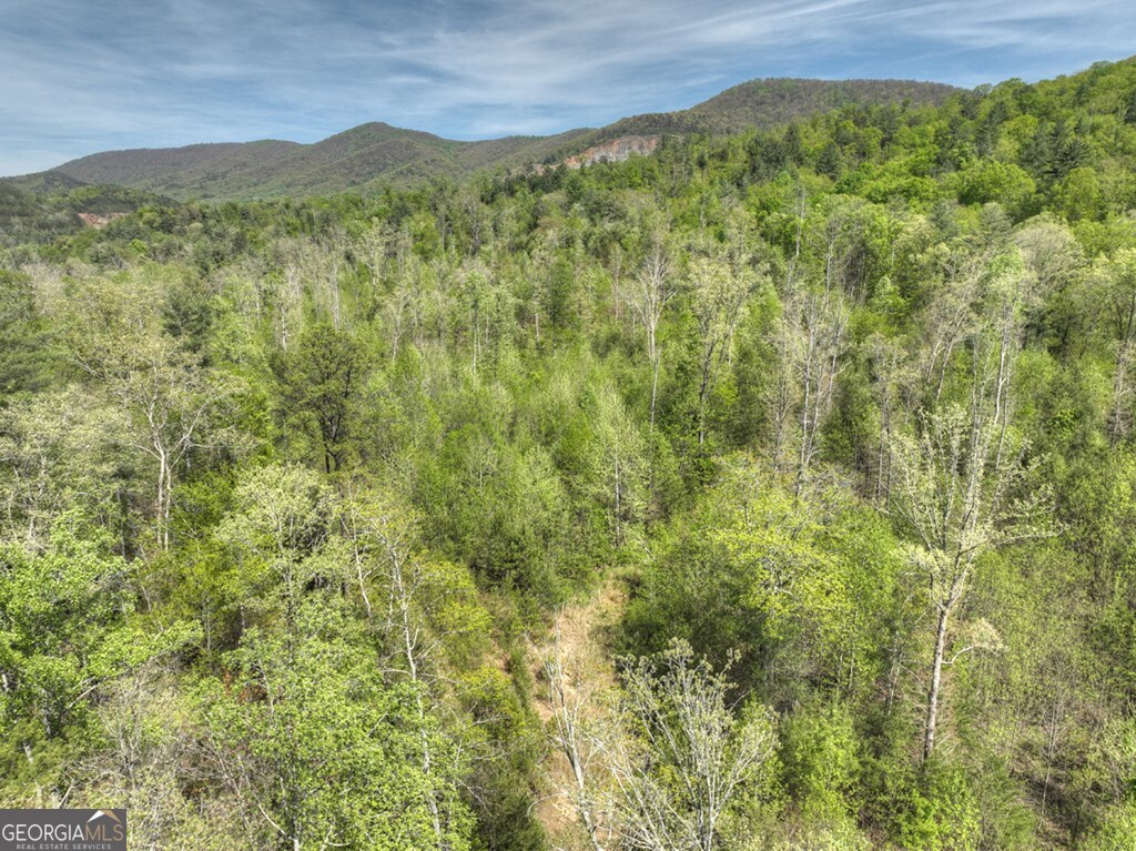 138.06AC N Highway 515 Ellijay GA 30540