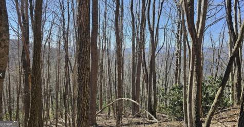 0 Highland Gap Road Scaly Mountain NC 28775