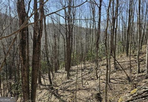 0 Highland Gap Road Scaly Mountain NC 28775