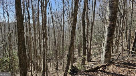 0 Highland Gap Road Scaly Mountain NC 28775