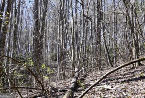 0 Highland Gap Road Scaly Mountain NC 28775