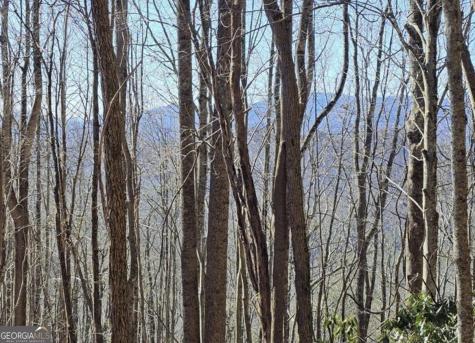0 Highland Gap Road Scaly Mountain NC 28775