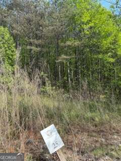 0 Eastside Drive Ellijay GA 30536