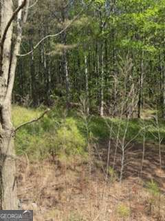 0 Eastside Drive Ellijay GA 30536