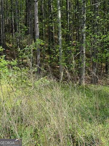 0 Eastside Drive Ellijay GA 30536