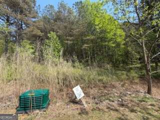 0 Eastside Drive Ellijay GA 30536