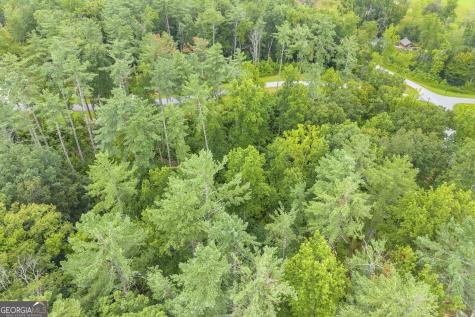 Lot 73 Leisure Mountain Trail Sautee Nacoochee GA 30571