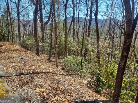 0 Lot 41 Pipetrack Gap Road Scaly Mountain NC 28775