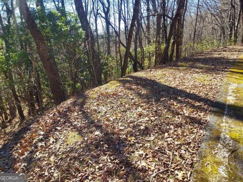 0 Lot 41 Pipetrack Gap Road Scaly Mountain NC 28775