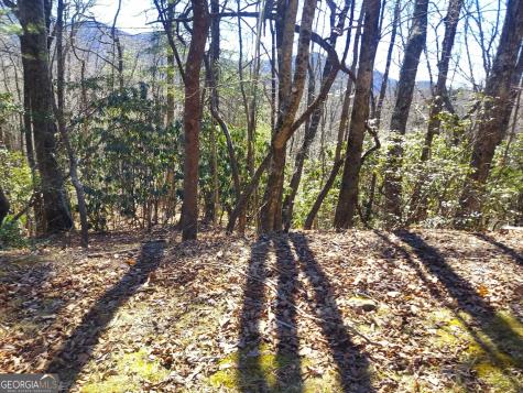 0 Lot 41 Pipetrack Gap Road Scaly Mountain NC 28775