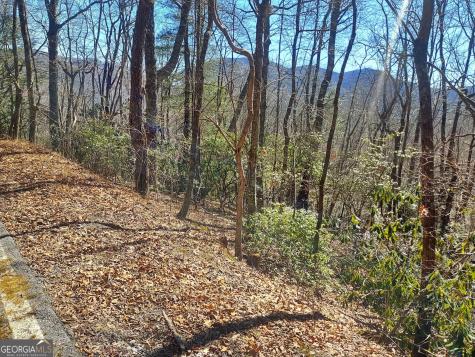 0 Lot 41 Pipetrack Gap Road Scaly Mountain NC 28775