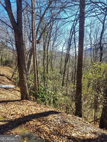 0 Lot 41 Pipetrack Gap Road Scaly Mountain NC 28775