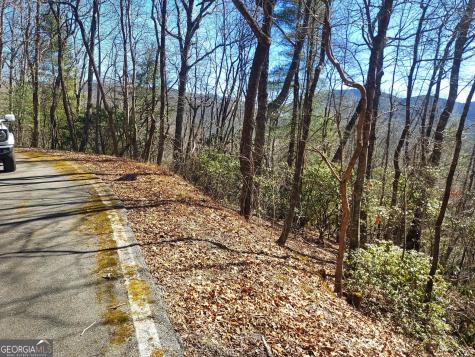 0 Lot 41 Pipetrack Gap Road Scaly Mountain NC 28775