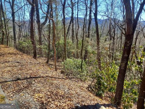 0 Lot 41 Pipetrack Gap Road Scaly Mountain NC 28775