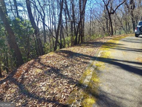 0 Lot 41 Pipetrack Gap Road Scaly Mountain NC 28775
