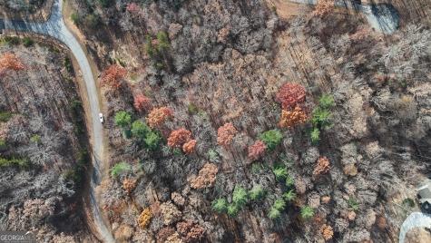 Lot 198 Northshore Drive Cleveland GA 30528