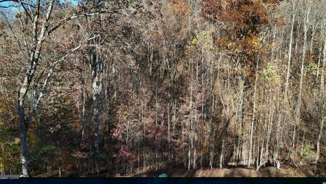 Lot 198 Northshore Drive Cleveland GA 30528