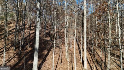 Lot 198 Northshore Drive Cleveland GA 30528
