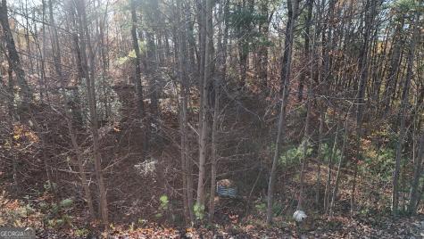 Lot 198 Northshore Drive Cleveland GA 30528