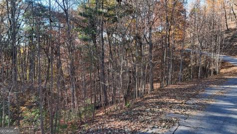 Lot 198 Northshore Drive Cleveland GA 30528