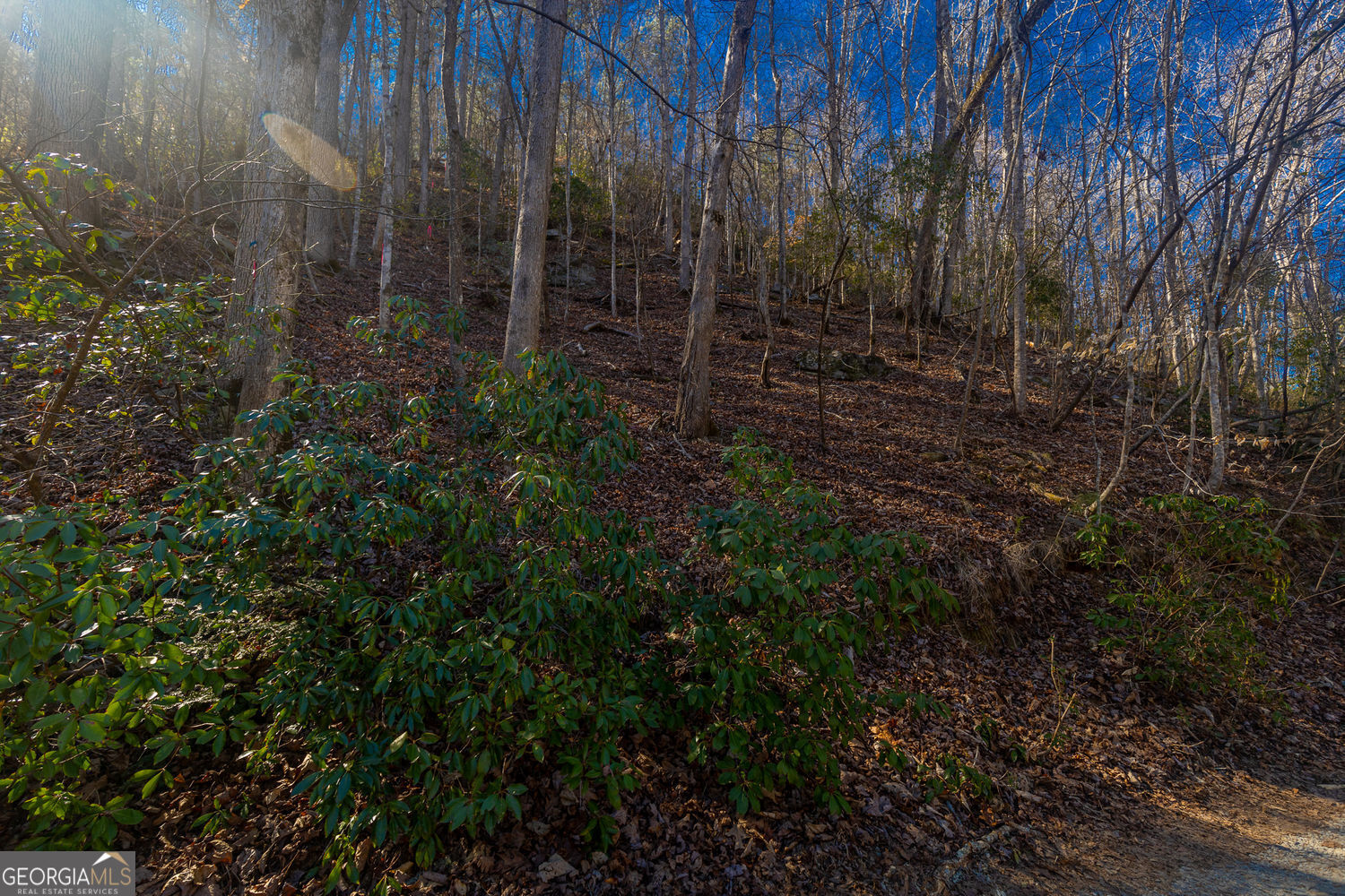 0 Fugue Drive Ellijay GA 30540